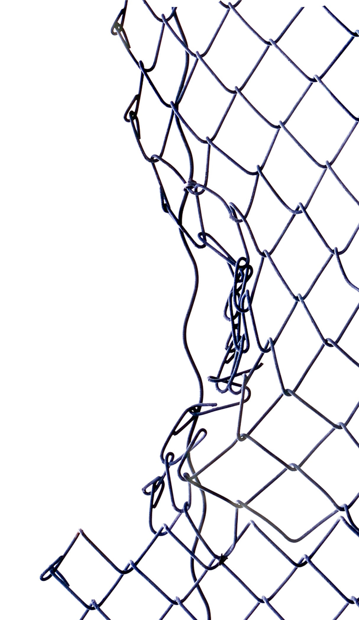 Chain Link